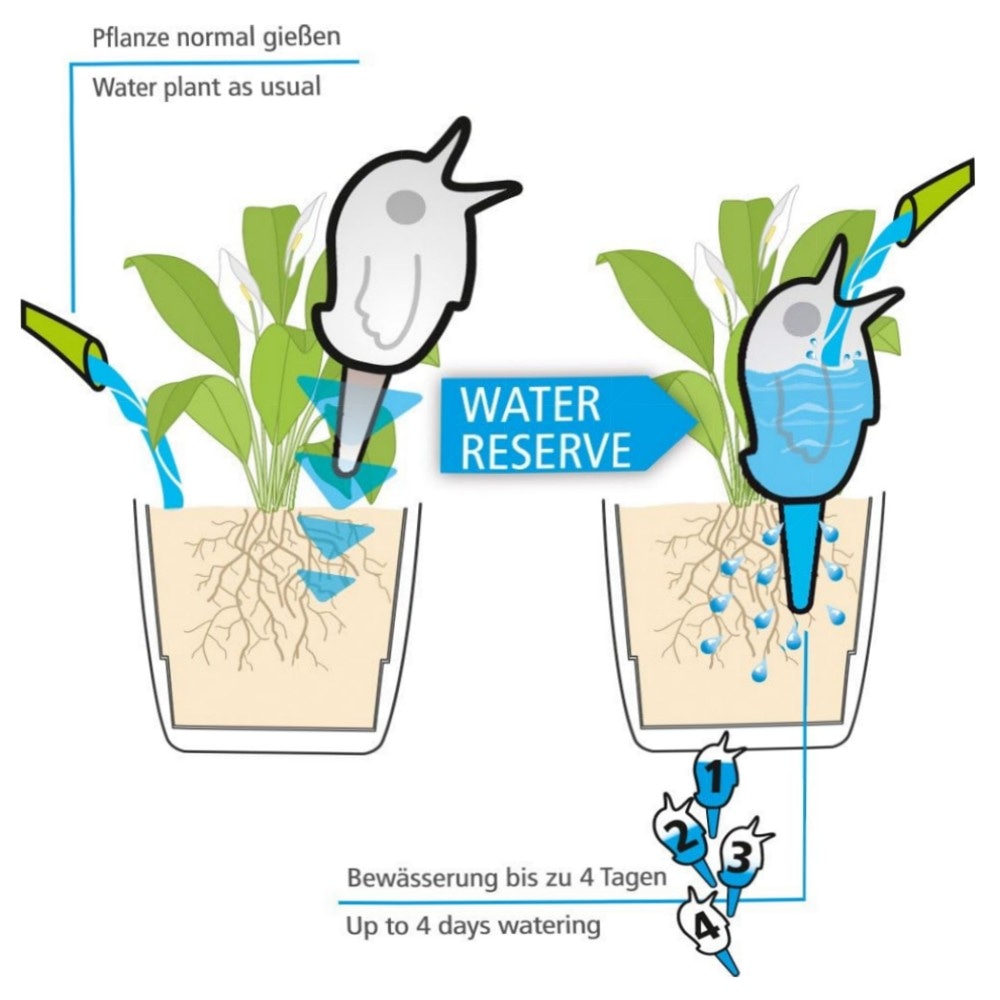 Scheurich Bördy M Wasserspender 220 ml – 8er Set Klar, UV-beständiger Kunststoff mit Tonfuß für Zimmer- & Gartenpflanzen