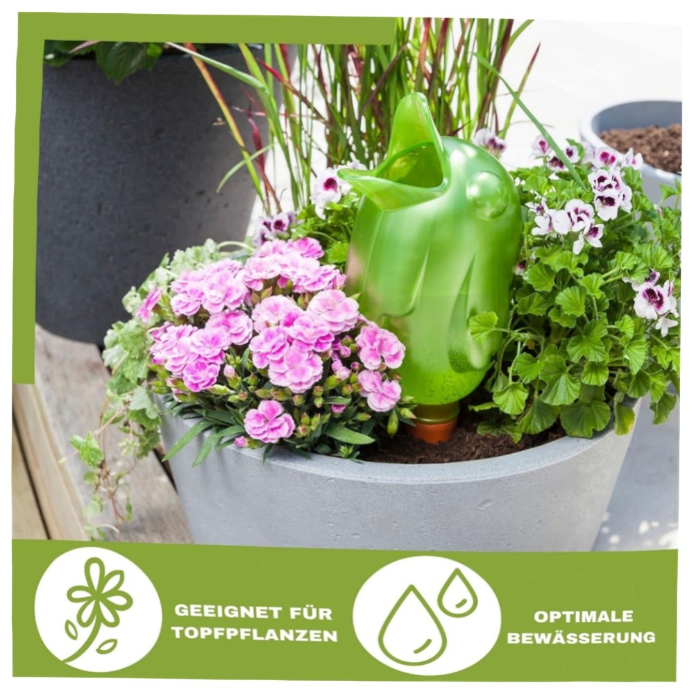 Scheurich Bördy XL Bewässerungskugel 620 ml – Grün, Tonfuß für kontrollierte Pflanzenbewässerung, UV-beständig & platzsparend