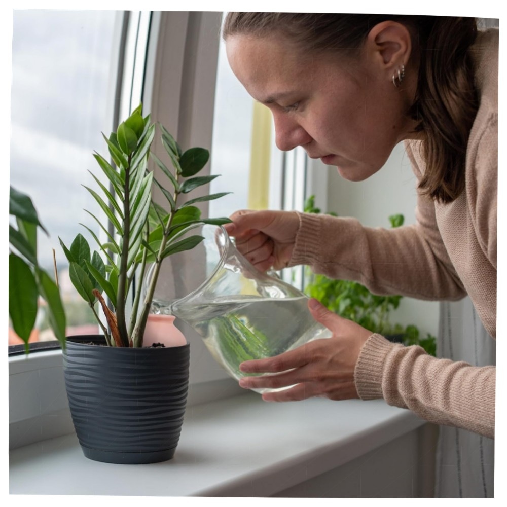 Tonkegel Bewässerung 6er Set – automatischer Pflanzenbewässerer aus Terrakotta, dosierte Wasserversorgung für Balkonkästen & Topfpflanzen