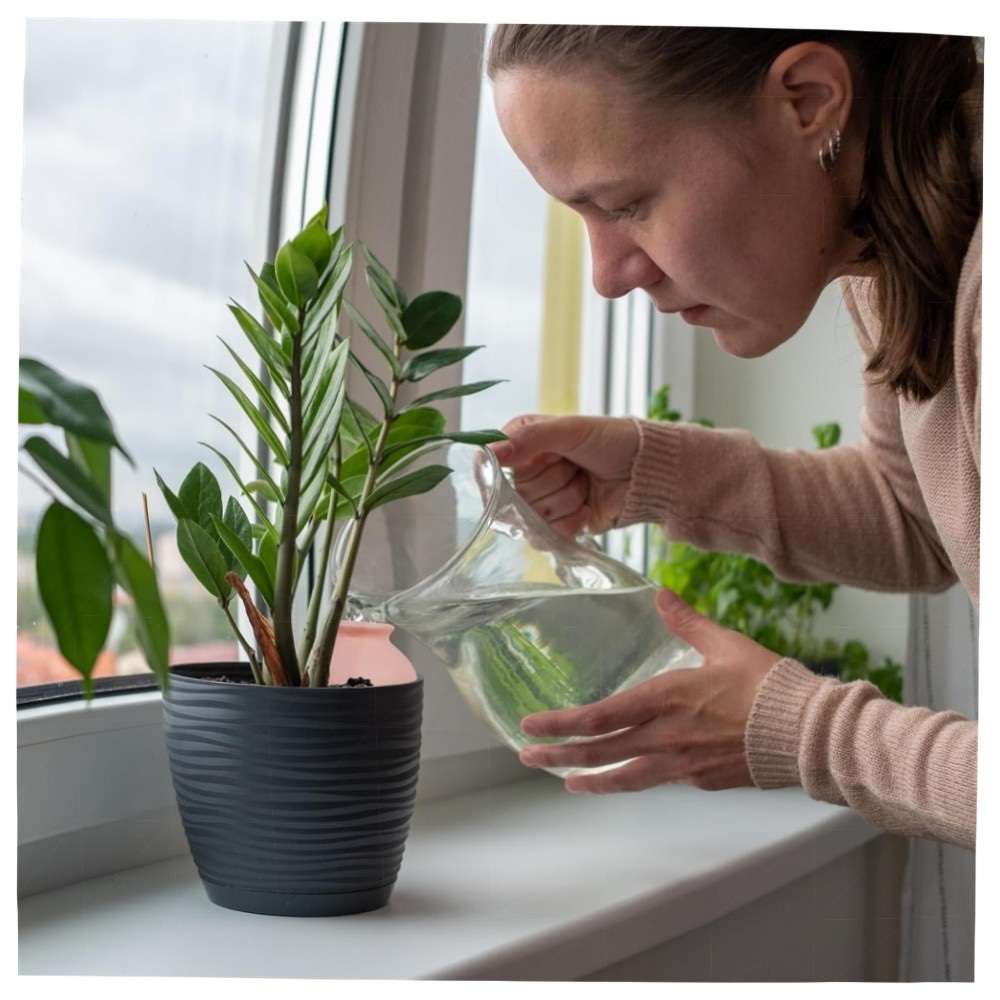 Tonkegel Bewässerung 4er Set – Terrakotta Gießkegel für Zimmerpflanzen & Balkonkästen, keramisch, 12×6 cm, automatische Pflanzenbewässerung