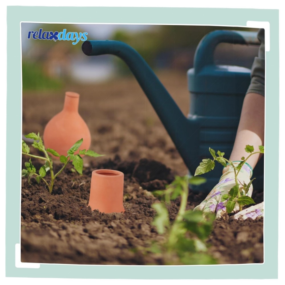Ollas Bewässerung 2er-Set 1,5 l – terrakotta Ton-Vasen für wurzelnahe, sparsame Garten- & Hochbeet-Bewässerung, inkl. Deckel, hochwertig