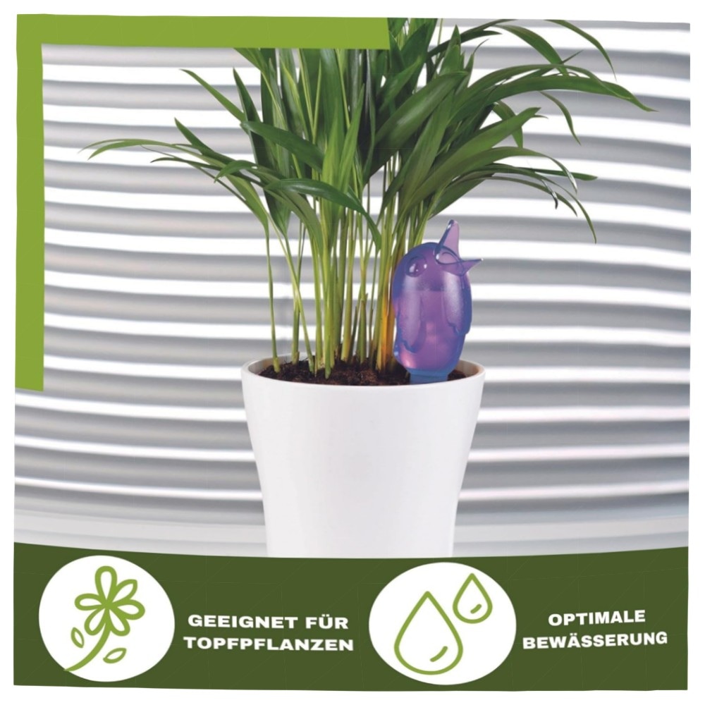 Scheurich Bördy M Wasserspender 220 ml – 8er Set Klar, UV-beständiger Kunststoff mit Tonfuß für Zimmer- & Gartenpflanzen