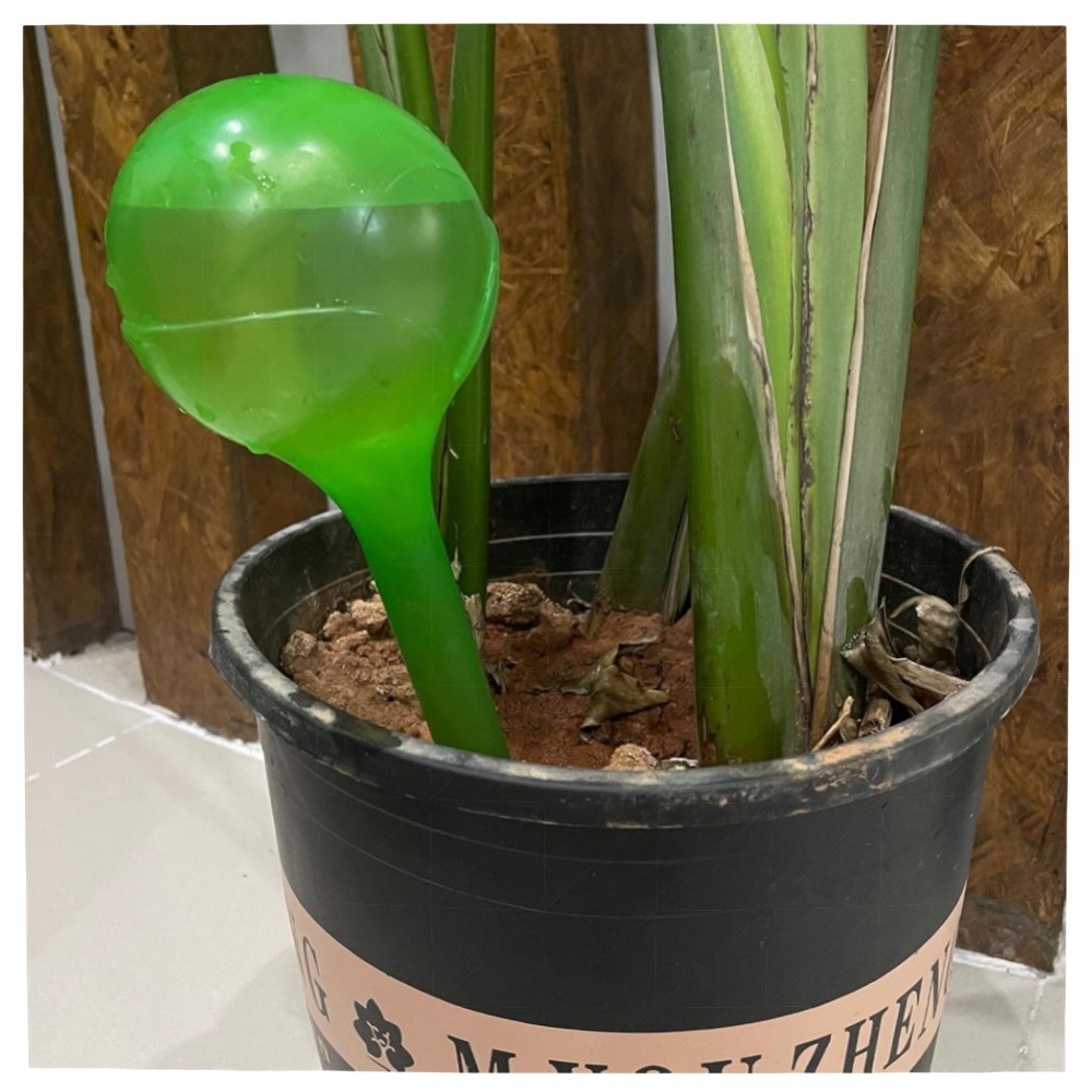 Artillen 6er-Set Bewässerungskugeln 300ml – autom. Pflanzenbewässerung aus hochwertigem PP für Garten, Bonsai & Topfpflanzen