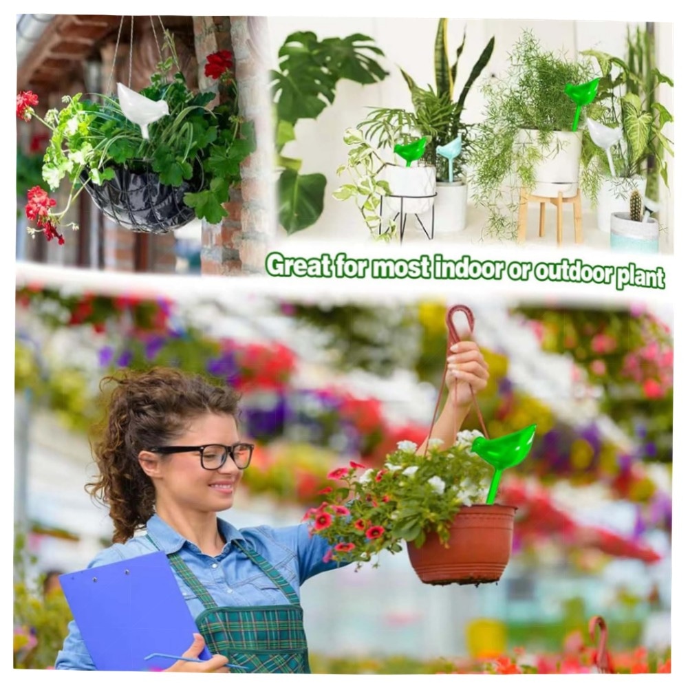 Automatisches Bewässerungssystem für Zimmerpflanzen – 6er Set bunte Bewässerungskugeln aus robustem Kunststoff, langsam & dekorativ