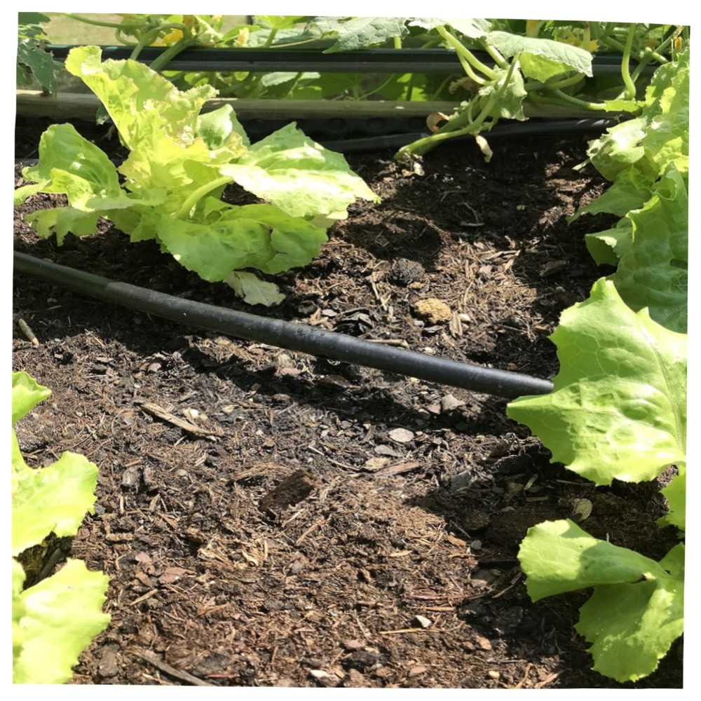 Druckkompensiertes Tropfrohr 16 mm – Perlschlauch 33 cm Abstand, 25 m (Braun) | hochwertig, langlebig, selbstreinigend