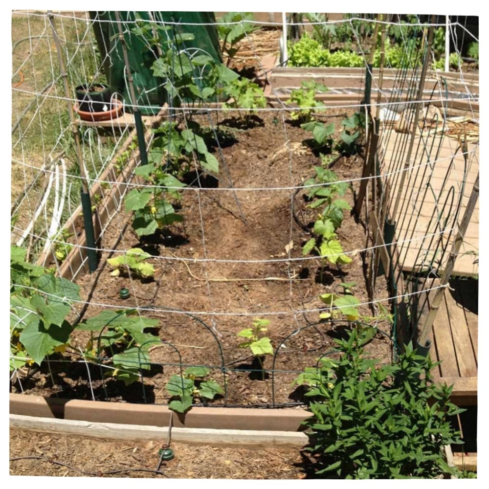 TROPF Bewässerungsanlage für 10 m Balkonkasten – hochwertiges Komplett-Set, einfache Installation & wassersparend