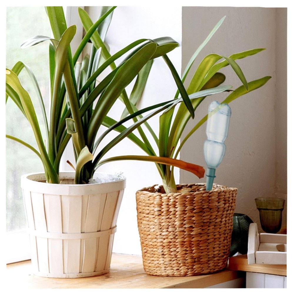 fec514ad3254.jpg Bewässerungskegel für Pflanzen FISHTEC – 12er Tropf-Bewässerungssystem aus robustem ABS, anpassbar für Innen- & Außenpflanzen