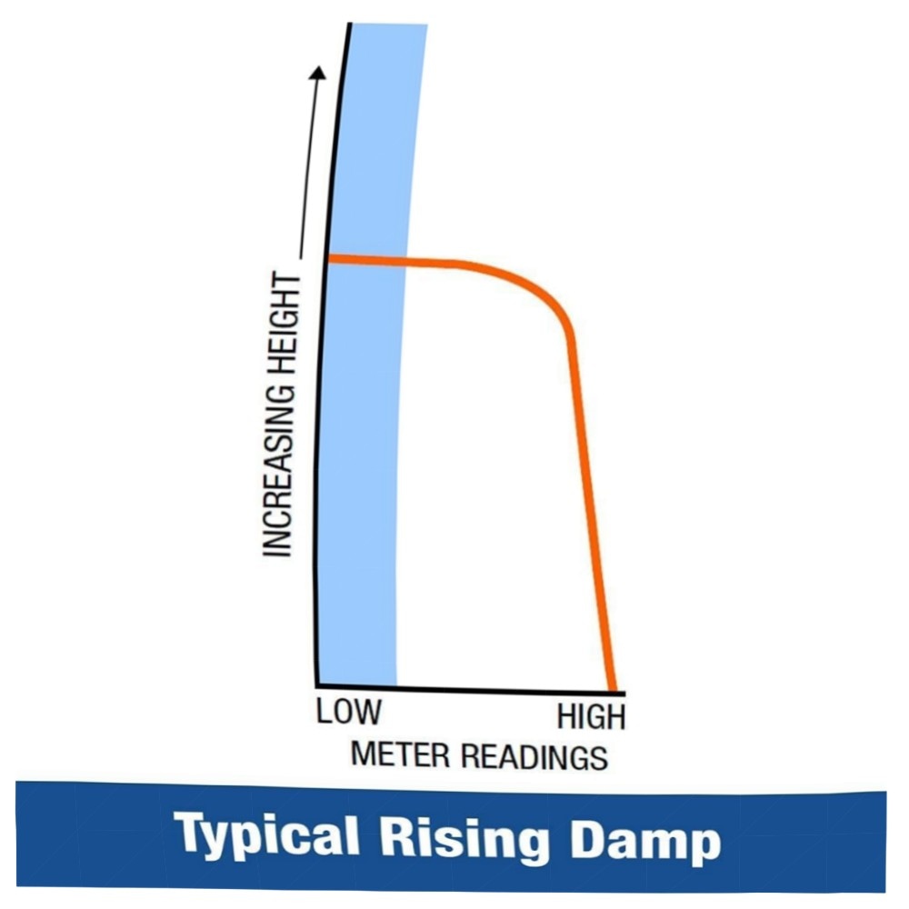 Dryzone Feuchtigkeitsmessgerät Profi – Holz & Mauerwerk messen (6–60%/0–40%), beleuchtetes LCD, handlich & vorkalibriert