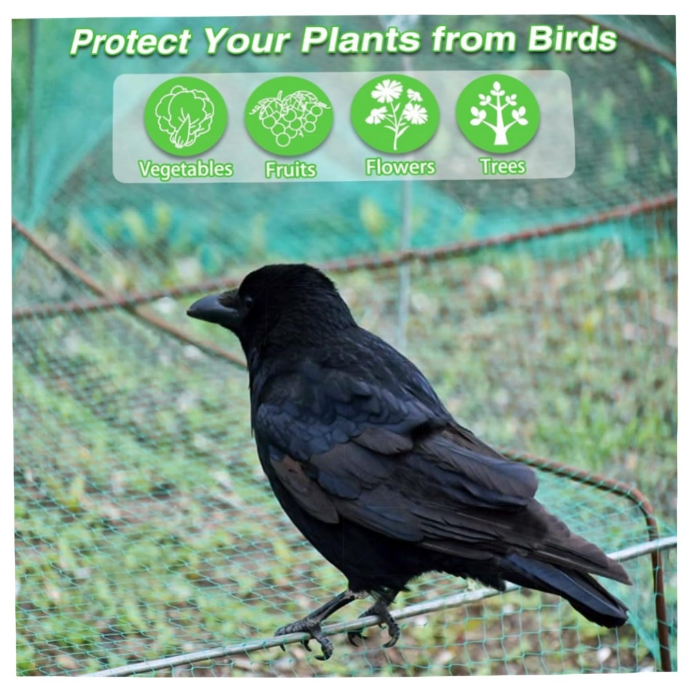 Vogelschutznetz 6×10 m – engmaschiges Gartennetz aus HD‑PE, Schutz für Obstbäume, Beeren & Hochbeete, leicht & witterungsbeständig
