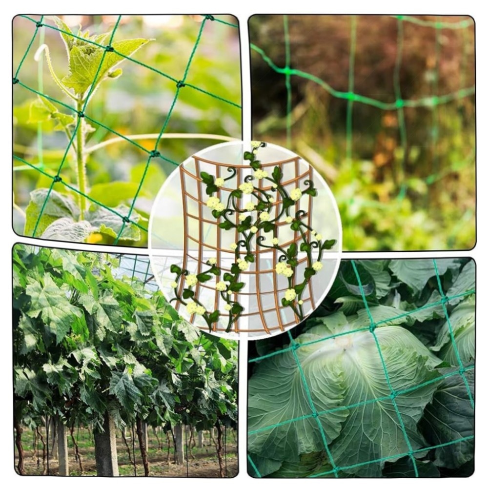 Ranknetz 10 x 2 m – 36 Stränge Polyethylen Pflanzennetz 10x10 cm | robuste Rankhilfe für Gurken, Tomaten & Kletterpflanzen