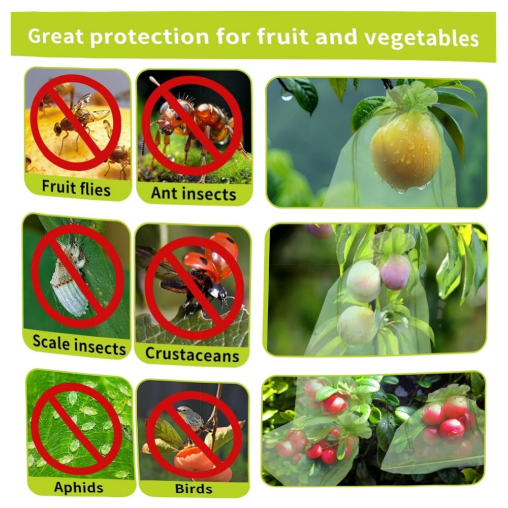 Obstschutzbeutel 20,3 x 30,5 cm Grün mit Kordelzug – feinmaschig, wiederverwendbar, 100 Stk. für Obst, Gemüse & Garten