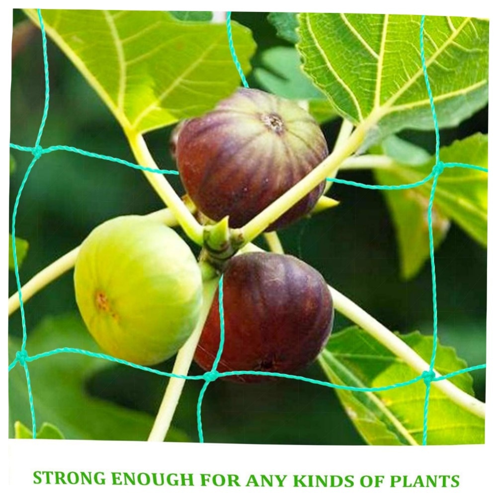 Ranknetz 10 x 2 m – 36 Stränge Polyethylen Pflanzennetz 10x10 cm | robuste Rankhilfe für Gurken, Tomaten & Kletterpflanzen