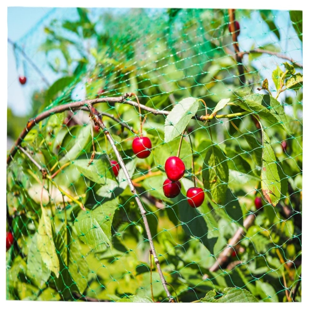 Vogelschutznetz 6×10 m – engmaschiges Gartennetz aus HD‑PE, Schutz für Obstbäume, Beeren & Hochbeete, leicht & witterungsbeständig