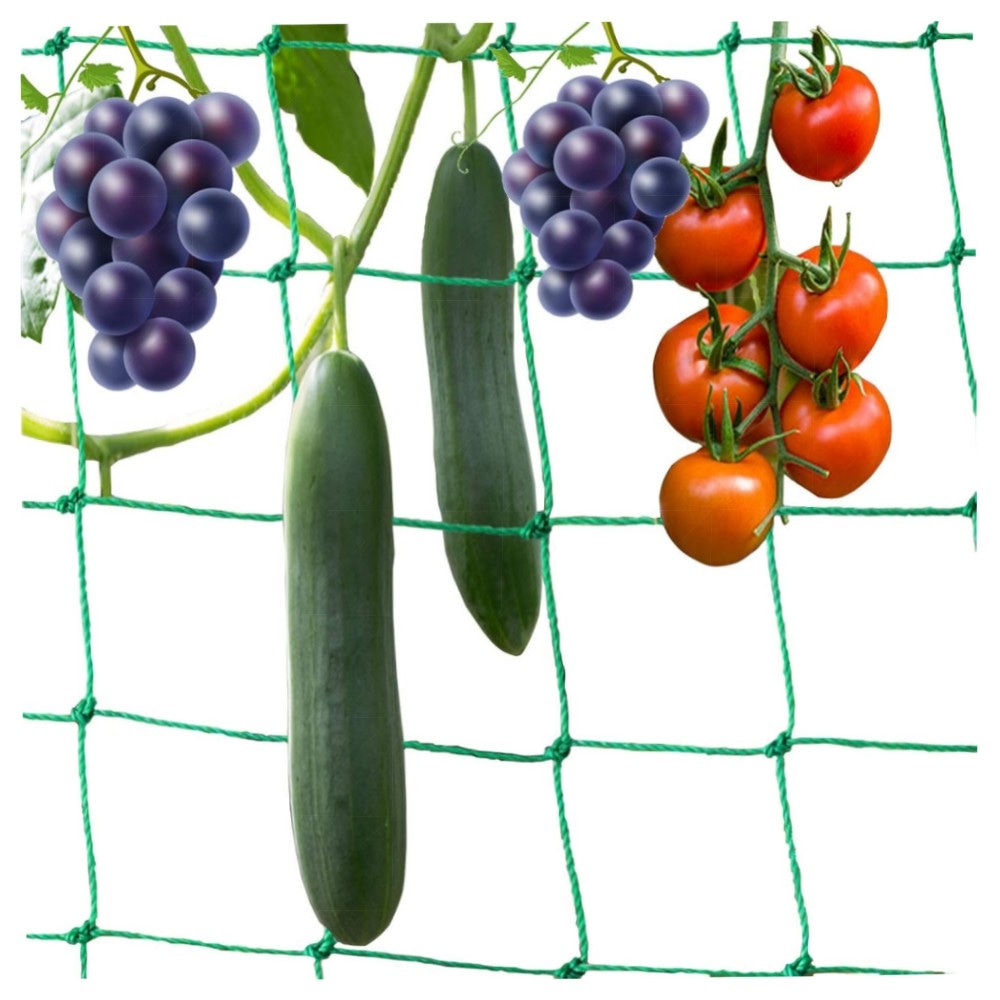 Ranknetz 10 x 2 m – 36 Stränge Polyethylen Pflanzennetz 10x10 cm | robuste Rankhilfe für Gurken, Tomaten & Kletterpflanzen