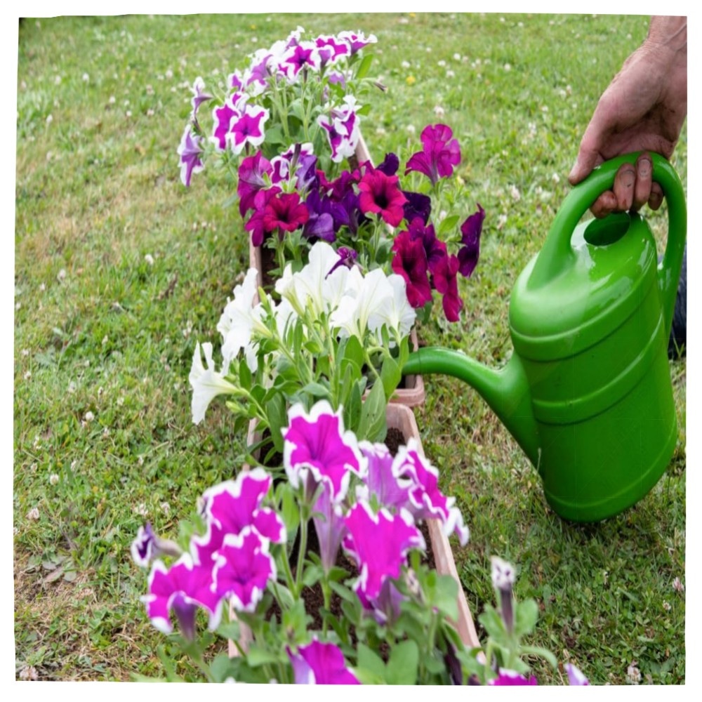 Gießkanne 2L ROT – leichte Kunststoff-Gießkanne mit abnehmbarer Brause, ergonomisch für Garten, Balkon & Kinder