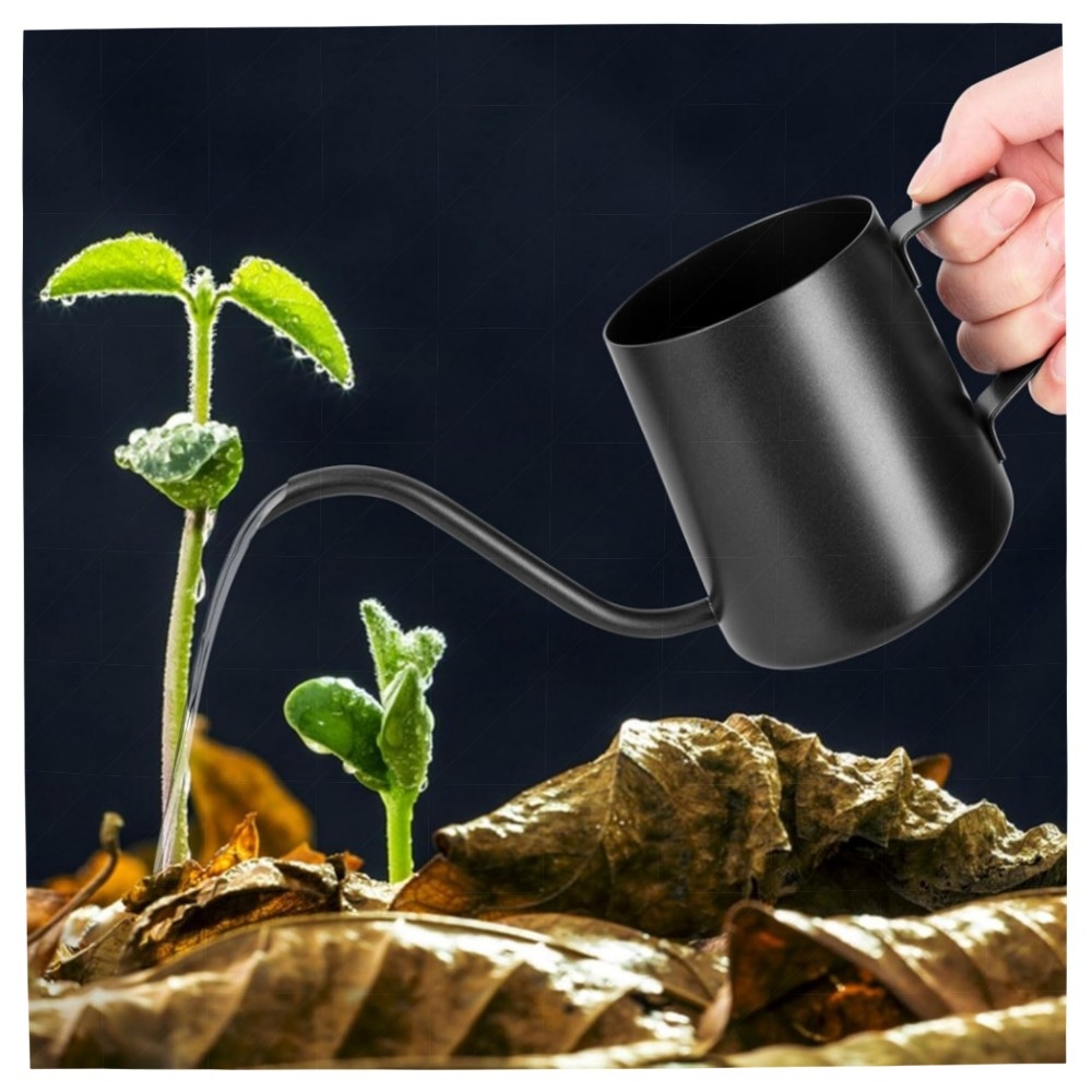 350 ml Mini Gießkanne Schwarz — Edelstahl, lange Ausgussdüse für Zimmerpflanzen & Bonsai, stilvoll & handlich