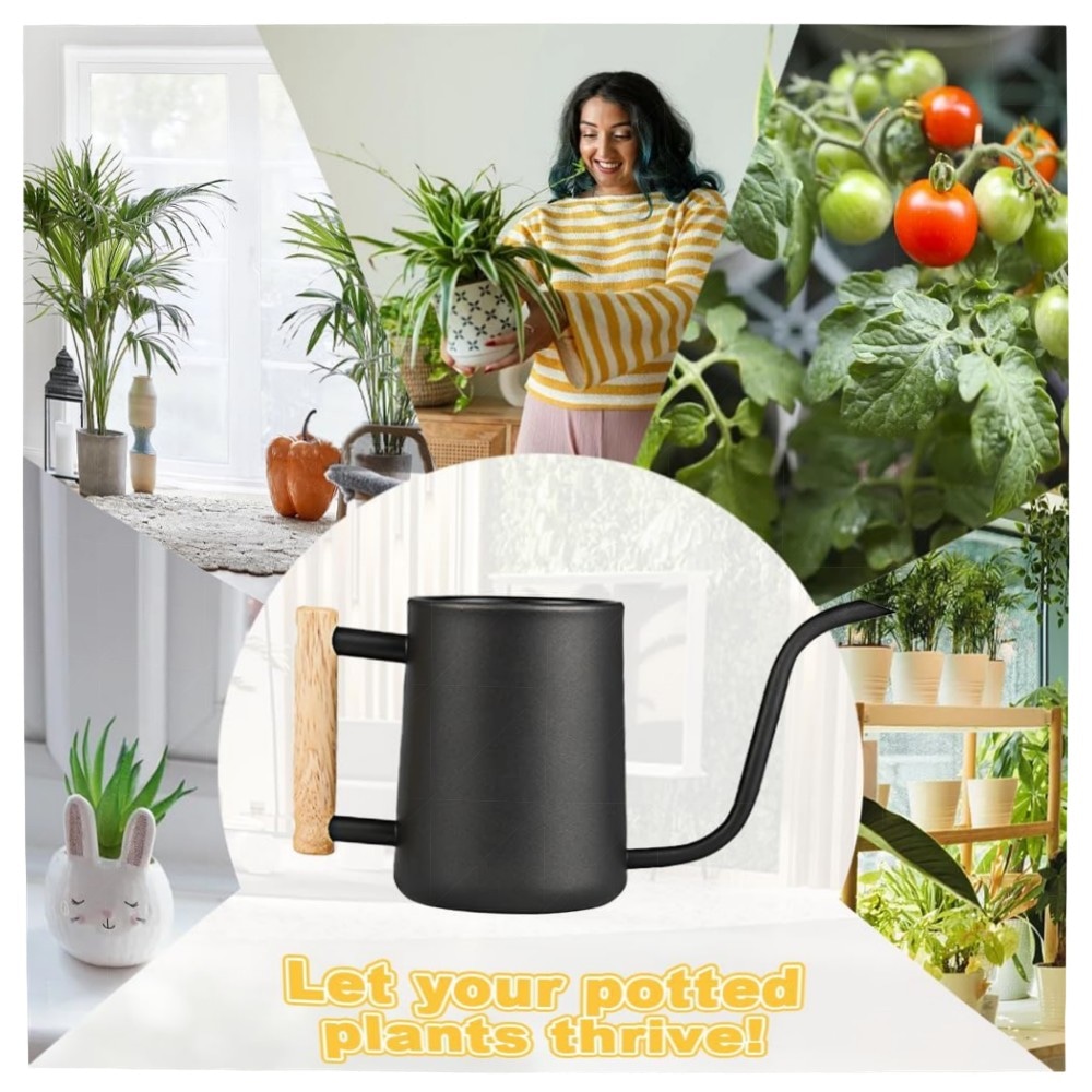 400 ml Edelstahl-Gießkanne für Zimmerpflanzen – kompakt, langes Auslaufdesign, ergonomischer Griff, matt schwarz, rostfrei