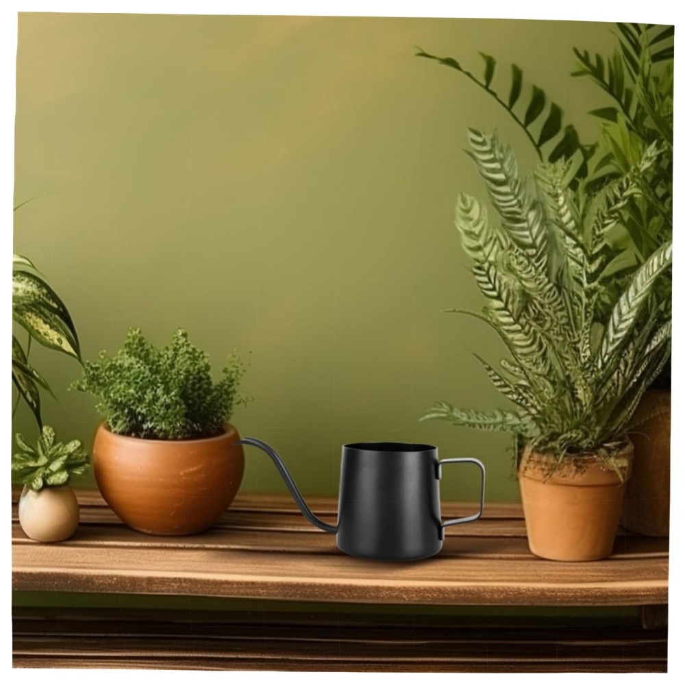 350 ml Mini Gießkanne Schwarz — Edelstahl, lange Ausgussdüse für Zimmerpflanzen & Bonsai, stilvoll & handlich