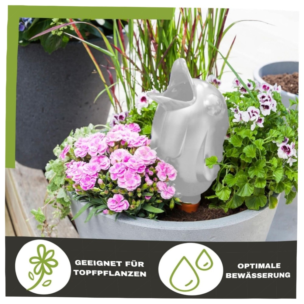 Scheurich Bördy XL Bewässerungskugel 620 ml – hochwertiger Kunststoff mit Tonfuß, kontrollierte Pflanzenbewässerung für Zimmer & Garten (4× Weiß)