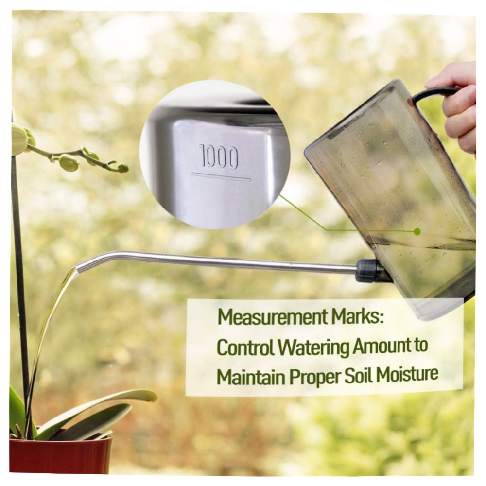 Jardineer 1L Gießkanne für Zimmerpflanzen – langer Edelstahl-Auslauf, Sprühflasche & Selbstbewässerungskugeln, bruchfestes PP (Grau)