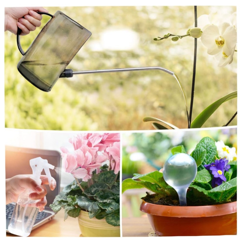 Jardineer 1L Gießkanne für Zimmerpflanzen – langer Edelstahl-Auslauf, Sprühflasche & Selbstbewässerungskugeln, bruchfestes PP (Grau)