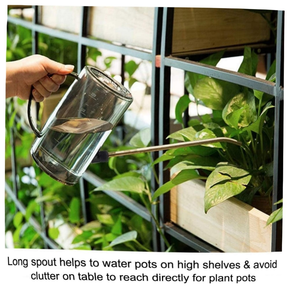 Jardineer 1L Gießkanne für Zimmerpflanzen – langer Edelstahl-Auslauf, Sprühflasche & Selbstbewässerungskugeln, bruchfestes PP (Grau)