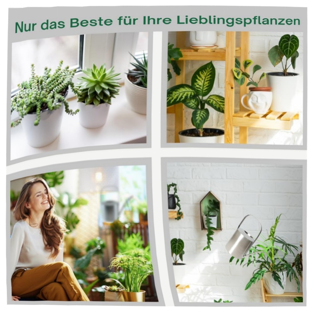 be4cf35e1456.jpg Edelstahl Gießkanne 2,5 L – rostfrei, gebürstet & ergonomisch für Balkon, Terrasse und Zimmerpflanzen