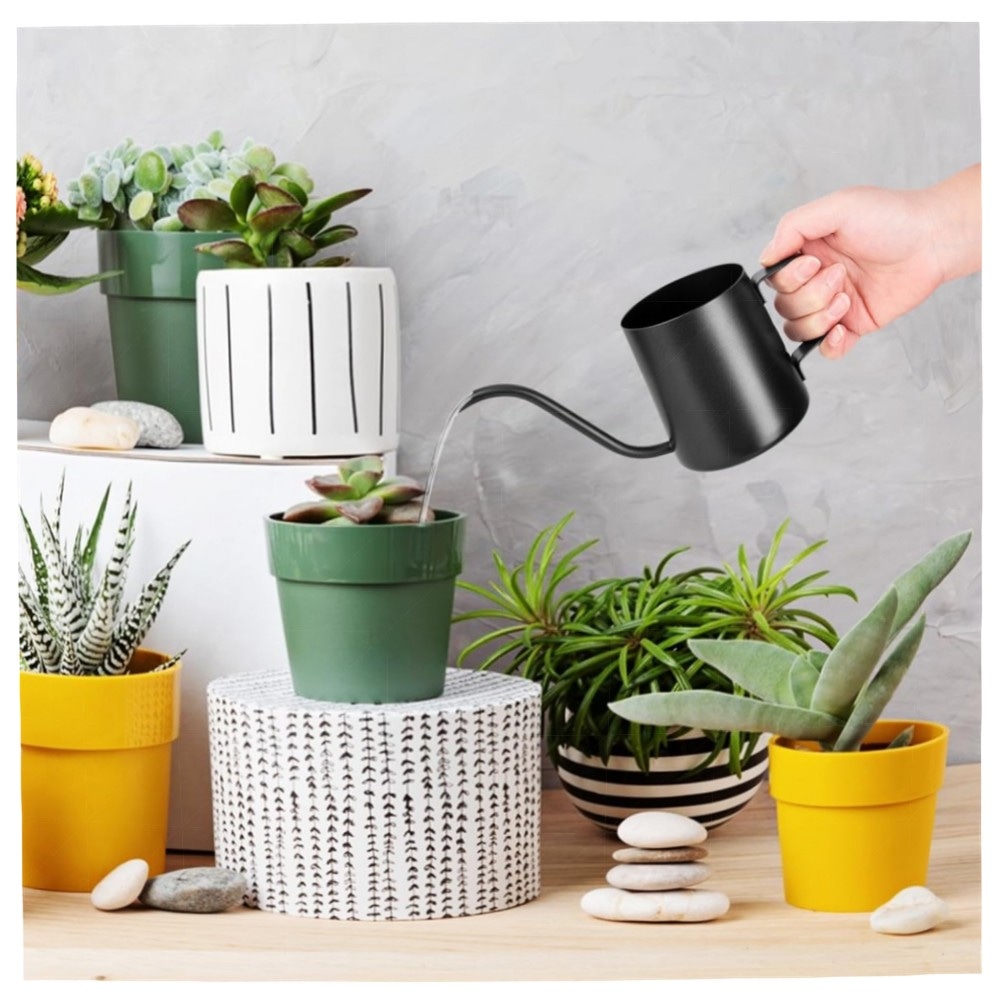 350 ml Mini Gießkanne Schwarz — Edelstahl, lange Ausgussdüse für Zimmerpflanzen & Bonsai, stilvoll & handlich