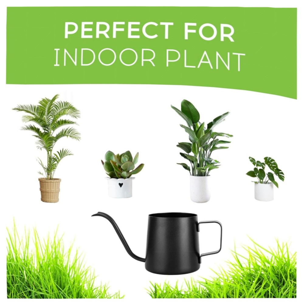 350 ml Mini Gießkanne Schwarz — Edelstahl, lange Ausgussdüse für Zimmerpflanzen & Bonsai, stilvoll & handlich