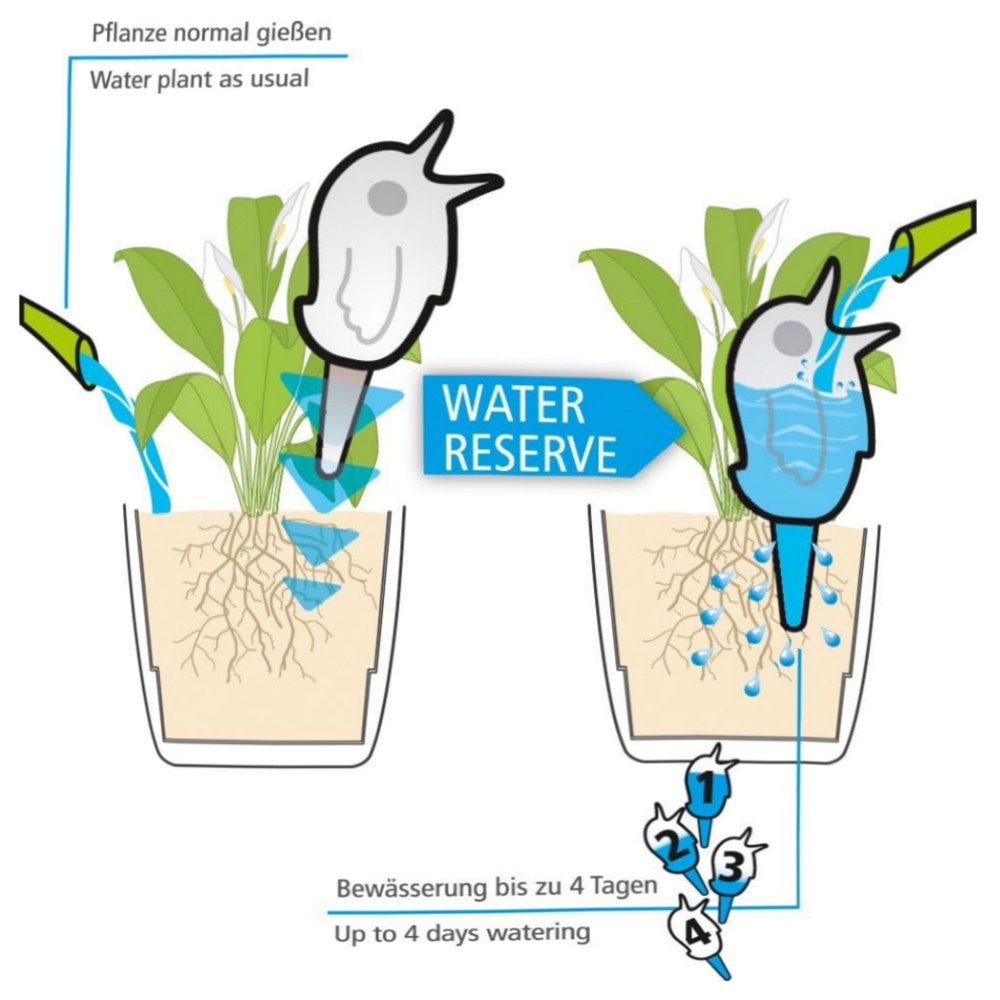 Scheurich Bördy XL Bewässerungskugel 620 ml – hochwertiger Kunststoff mit Tonfuß, kontrollierte Pflanzenbewässerung für Zimmer & Garten (4× Weiß)