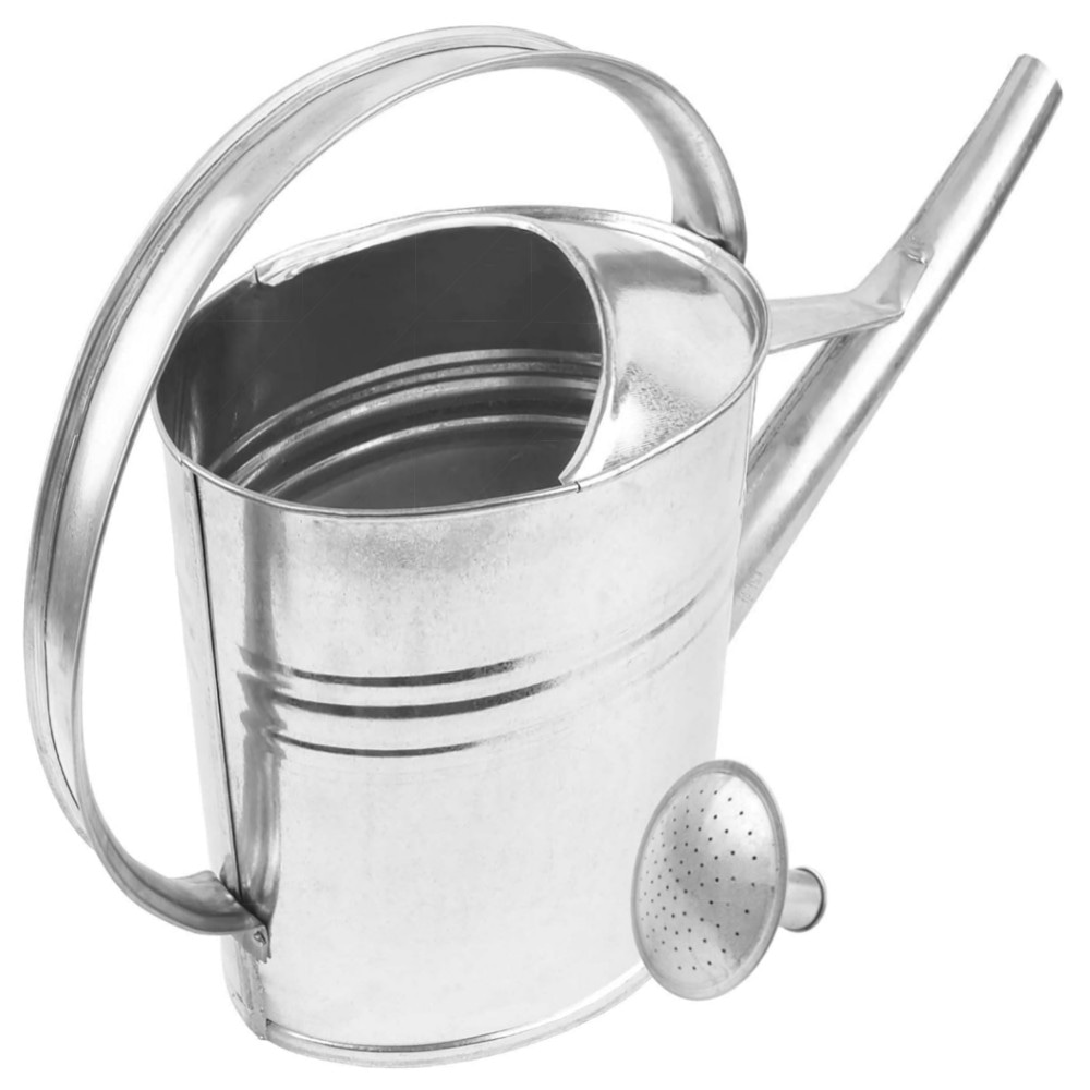 BAUSTER® verzinkte Gießkanne 12 L – robustes Metall, oval mit Gießbrause für Garten & Balkon, langlebig & praktisch