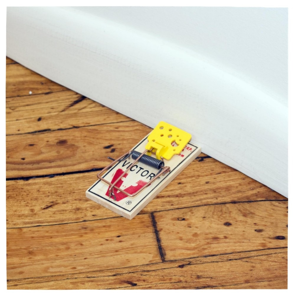 Easy Set Mausefallen (4 Stück) – Vorgeködert, großes Auslösepedal, wiederverwendbar & giftfrei, FSC-Holz für schnelle Mäusebekämpfung