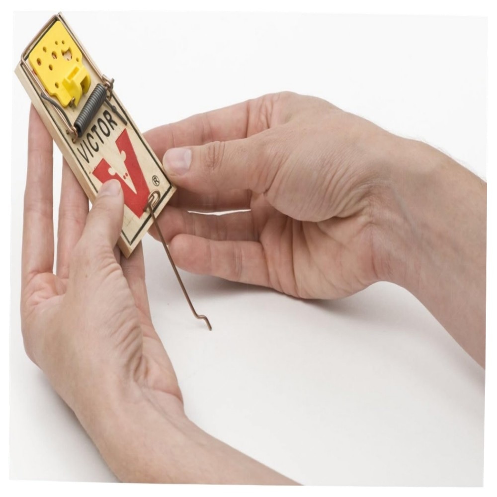 Easy Set Mausefallen (4 Stück) – Vorgeködert, großes Auslösepedal, wiederverwendbar & giftfrei, FSC-Holz für schnelle Mäusebekämpfung