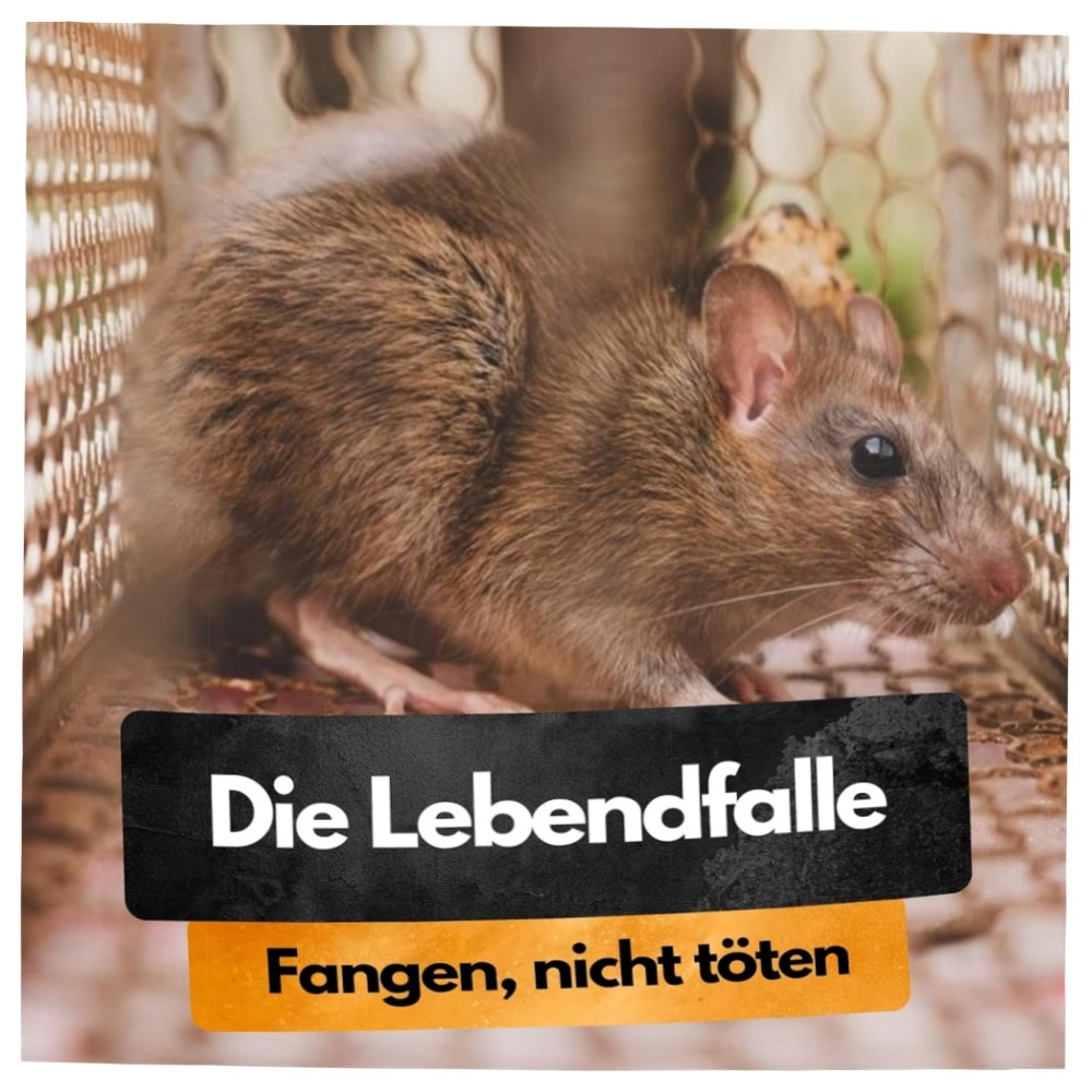Panteer SCHÄDLINGSMEISTER XXL Lebendfalle für Ratten & Mäuse – vollverzinkt, 0,2s Schnellverschluss, inkl. Handschuhe & Köder