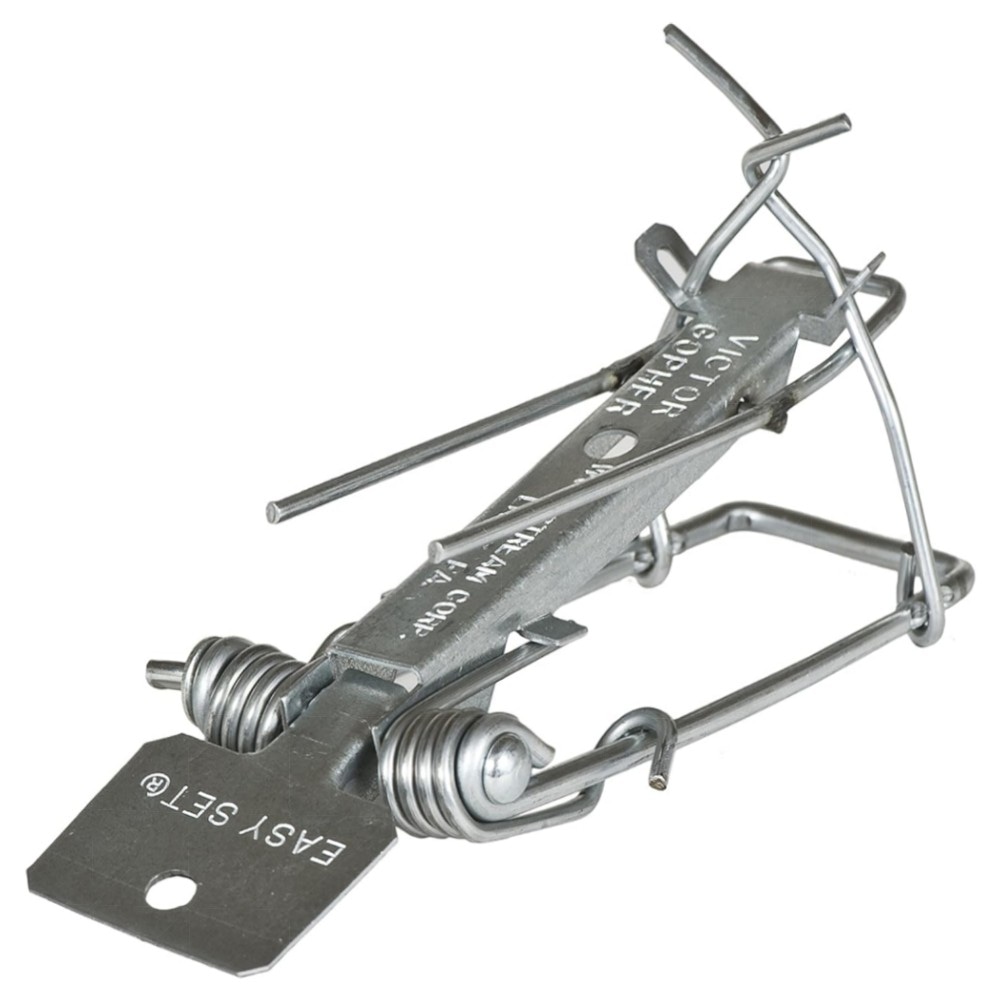 Victor Easy Set Maulwurffalle – verzinkter Stahl, witterungsbeständig & fertig montiert, 2er-Set für Garten & Gemüsebeete