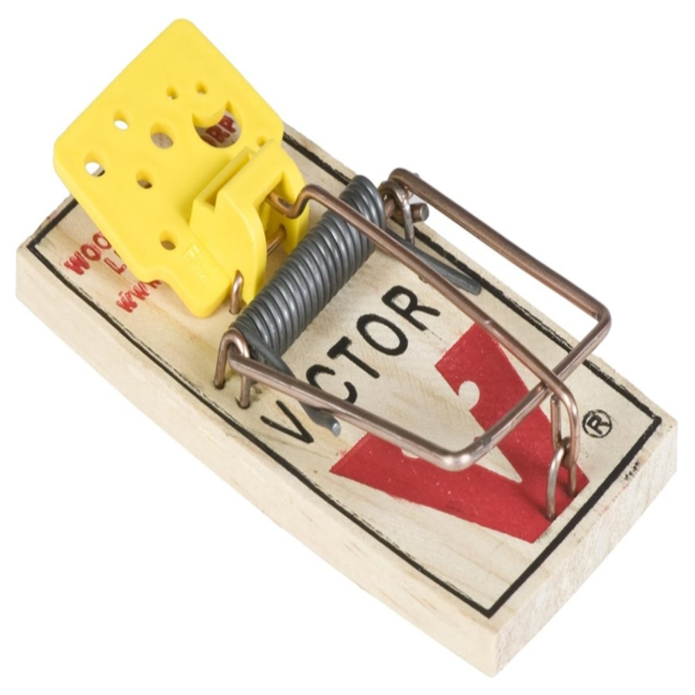 Easy Set Mausefallen (4 Stück) – Vorgeködert, großes Auslösepedal, wiederverwendbar & giftfrei, FSC-Holz für schnelle Mäusebekämpfung