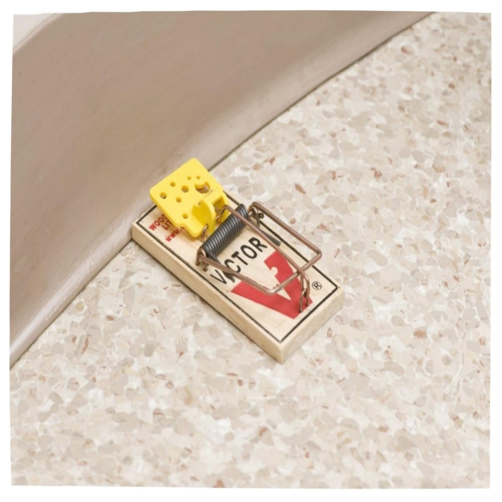 Easy Set Mausefallen (4 Stück) – Vorgeködert, großes Auslösepedal, wiederverwendbar & giftfrei, FSC-Holz für schnelle Mäusebekämpfung