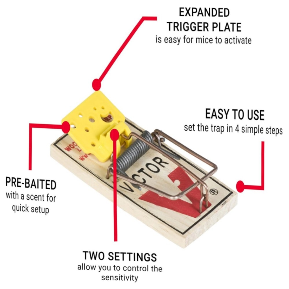 Easy Set Mausefallen (4 Stück) – Vorgeködert, großes Auslösepedal, wiederverwendbar & giftfrei, FSC-Holz für schnelle Mäusebekämpfung