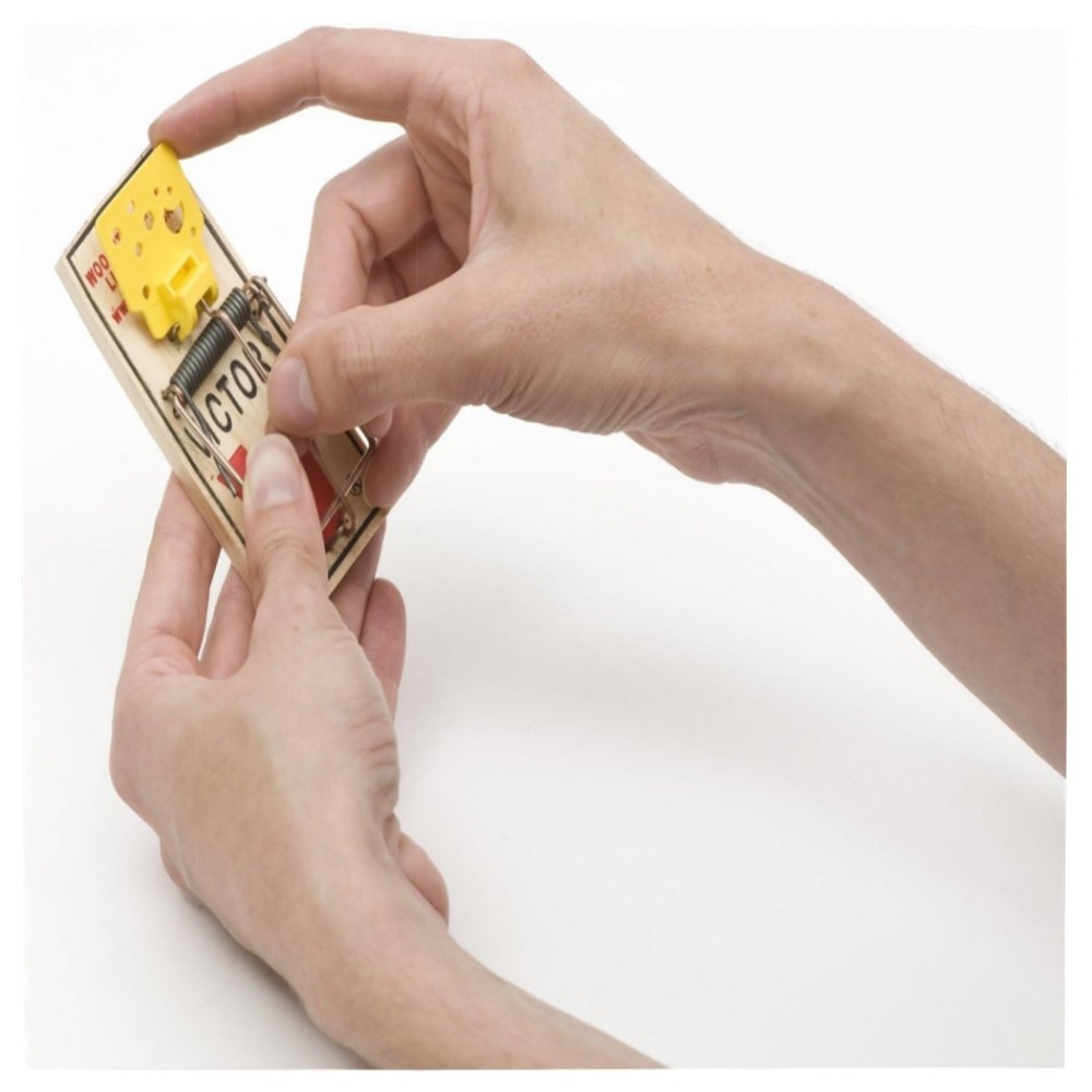 Easy Set Mausefallen (4 Stück) – Vorgeködert, großes Auslösepedal, wiederverwendbar & giftfrei, FSC-Holz für schnelle Mäusebekämpfung