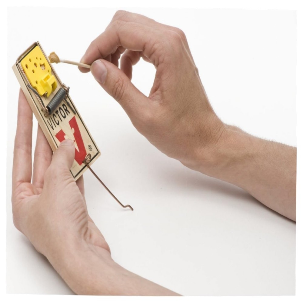 Easy Set Mausefallen (4 Stück) – Vorgeködert, großes Auslösepedal, wiederverwendbar & giftfrei, FSC-Holz für schnelle Mäusebekämpfung