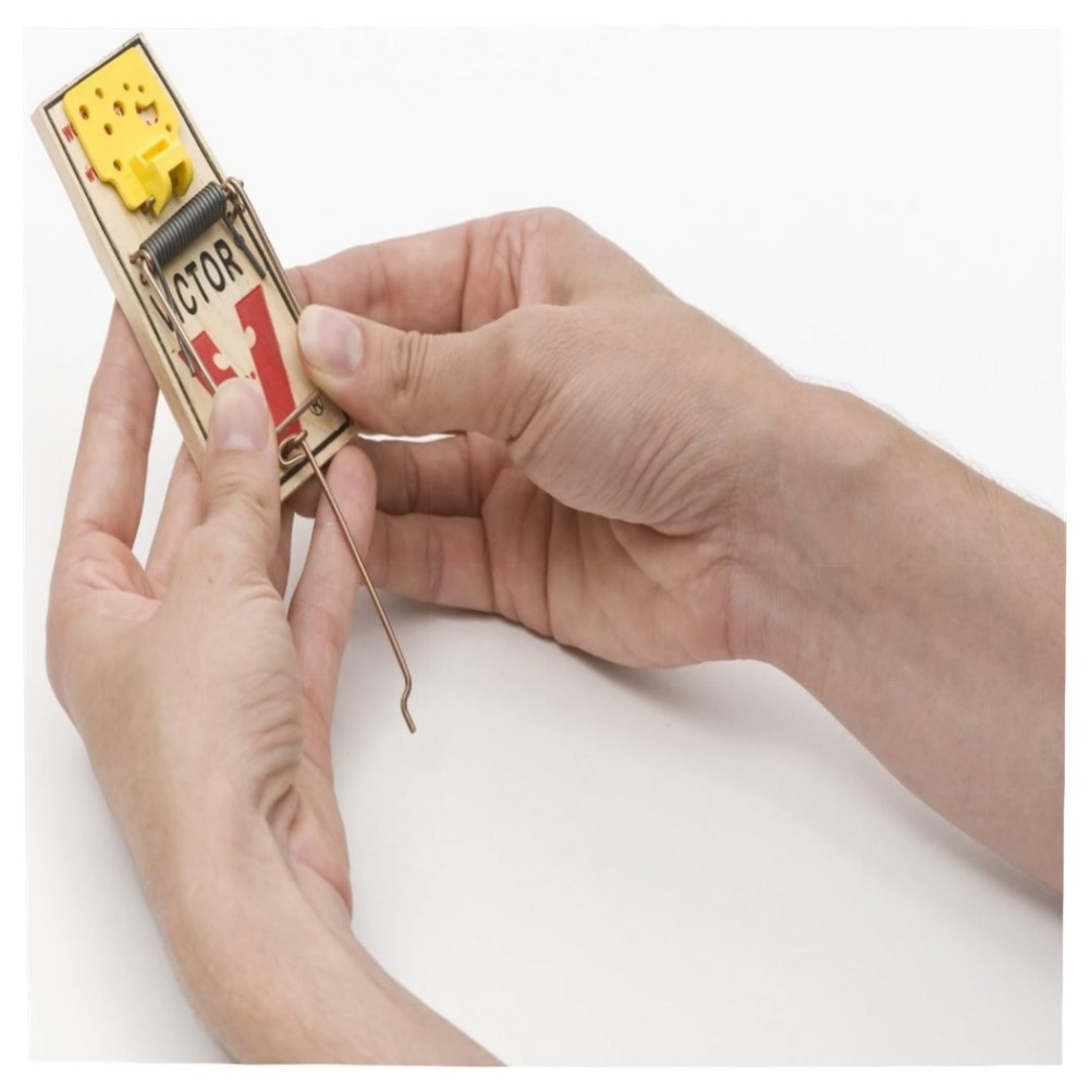 Easy Set Mausefallen (4 Stück) – Vorgeködert, großes Auslösepedal, wiederverwendbar & giftfrei, FSC-Holz für schnelle Mäusebekämpfung