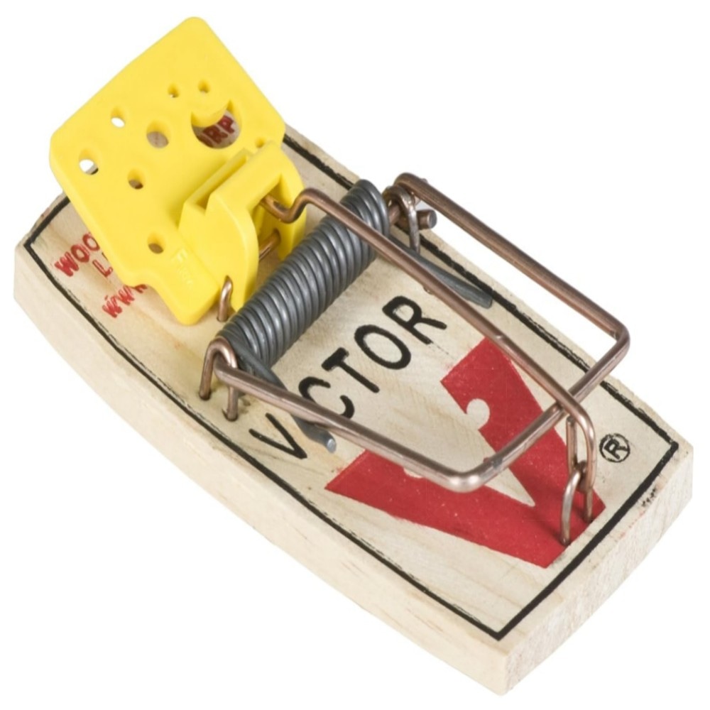 Easy Set Mausefallen (4 Stück) – Vorgeködert, großes Auslösepedal, wiederverwendbar & giftfrei, FSC-Holz für schnelle Mäusebekämpfung