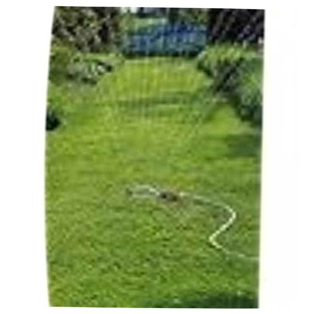 Gardena Viereckregner Polo 220 – robuster, einstellbarer Rasensprenger für Flächen bis 220 m² mit Schmutzabweisungs‑Technik