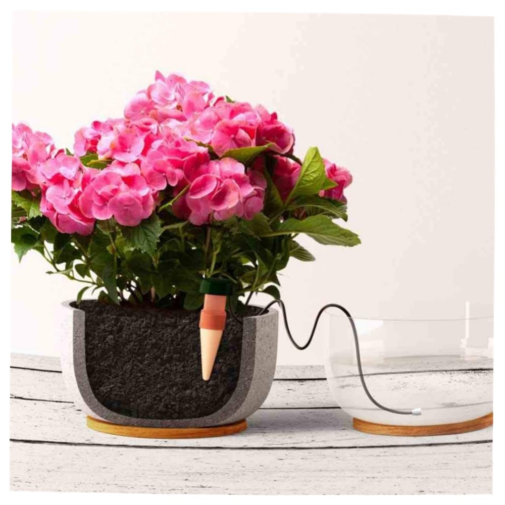 Wasserspender für Zimmerpflanzen (12 Stück) – Blumat Tonkegel mit 80 cm Schlauch, natürliche Bewässerung für Topfpflanzen auf Balkon & Fensterbank