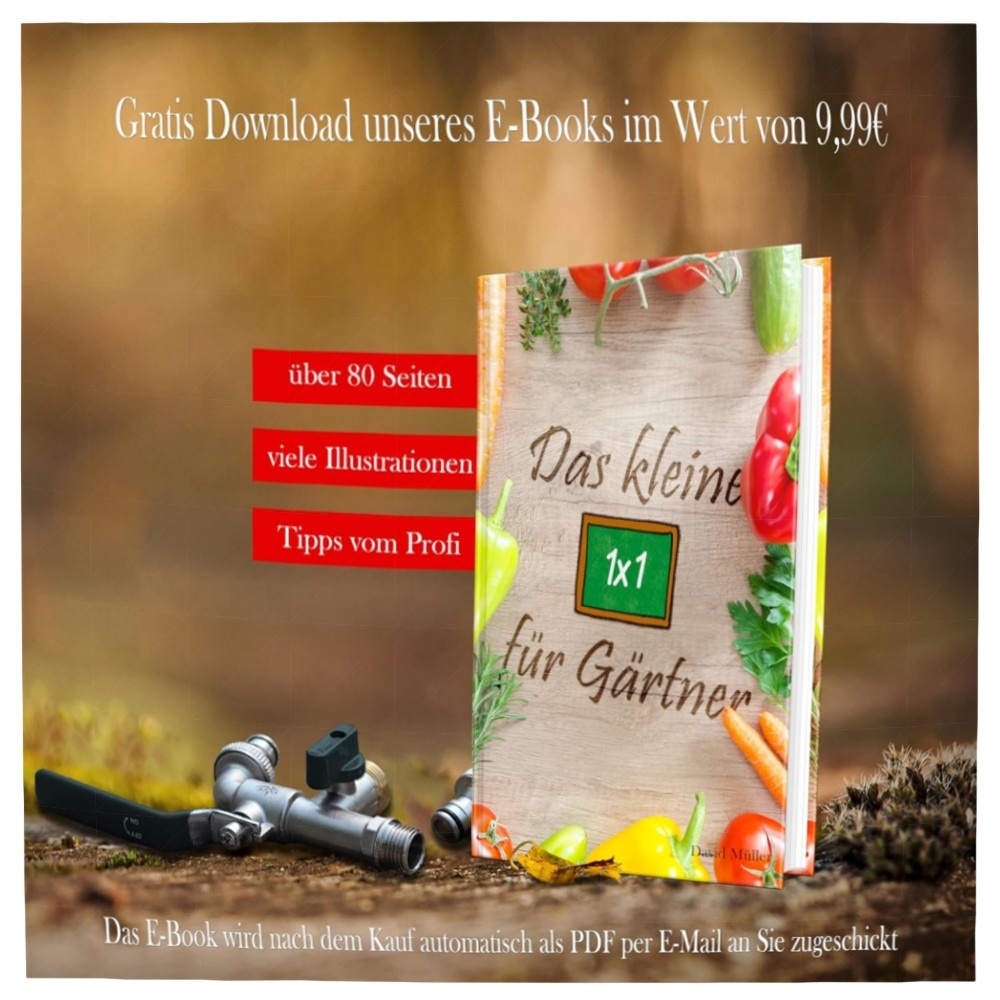 Doppel-Wasserhahn 3/4\