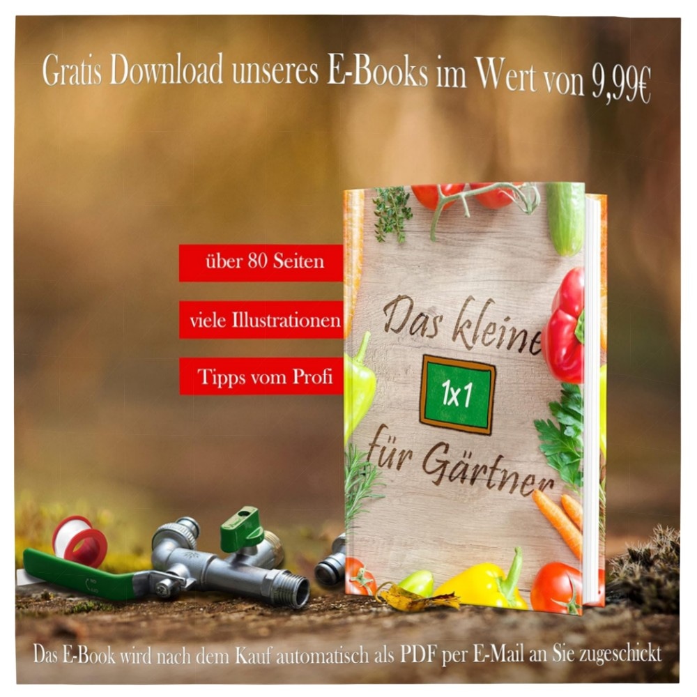 Doppel-Wasserhahn 3/4\